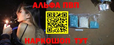 a pvp Новозыбков