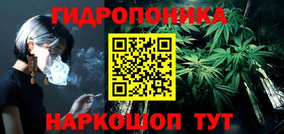 a pvp Новозыбков