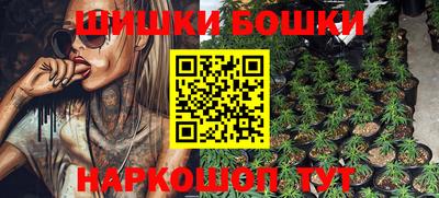a pvp Новозыбков