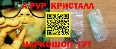 гашик Новокубанск