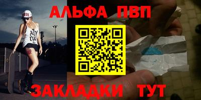 a pvp Новозыбков
