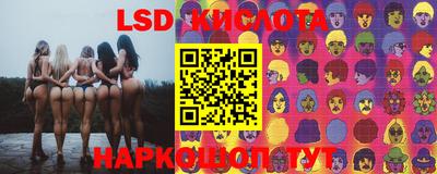 a pvp Новозыбков