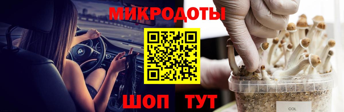 Галлюциногенные грибы Psilocybe  Вход с VPN  Тверь 